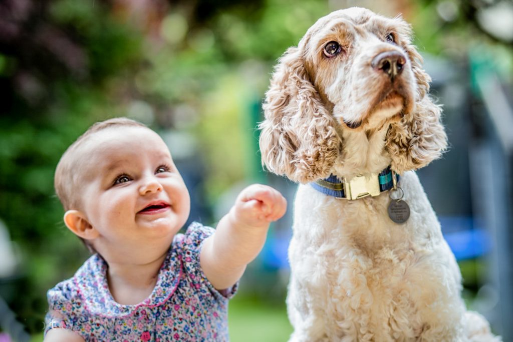 Little girl sitting next to her dog in the garden and pointing